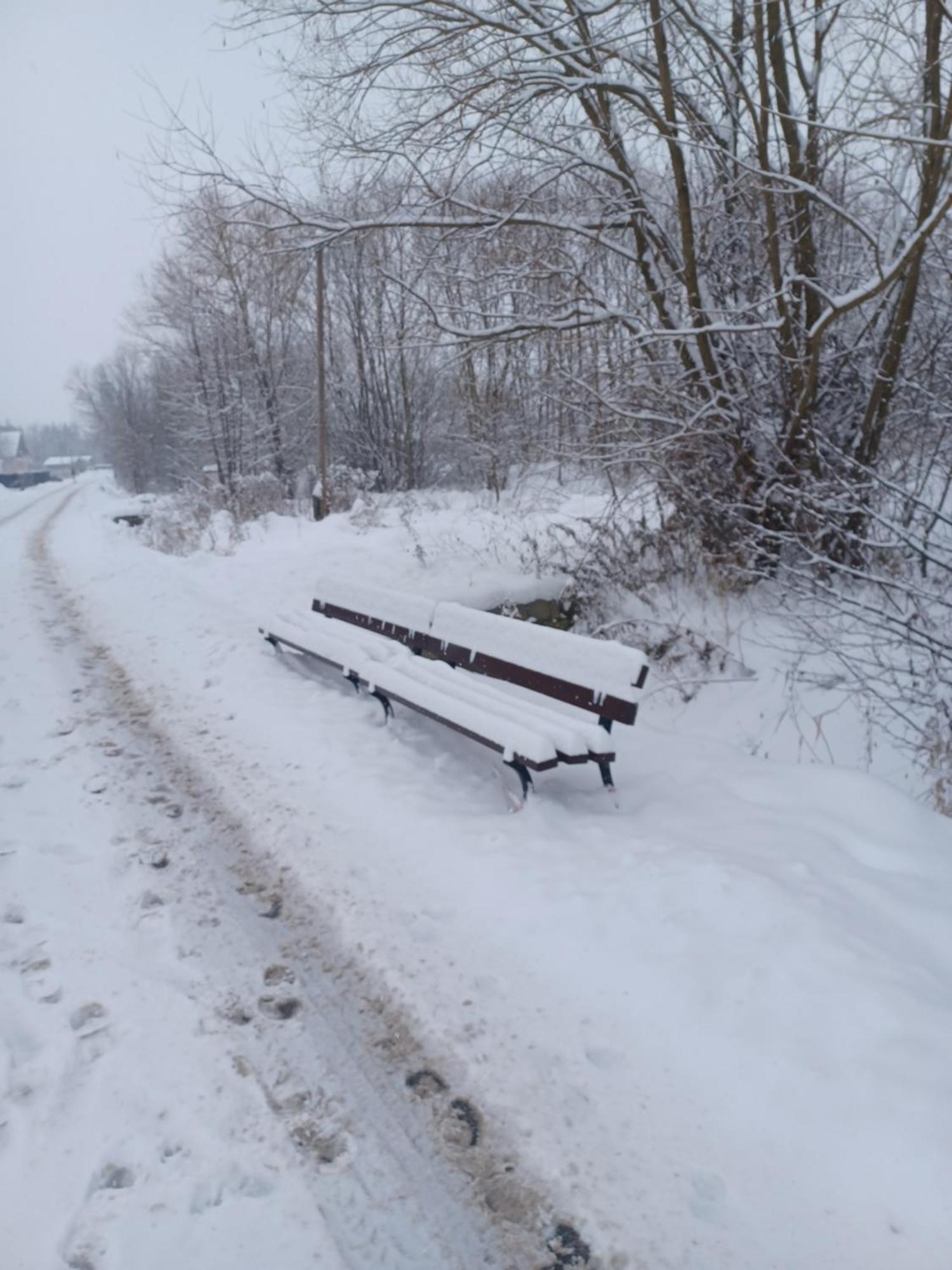 Laba * Sosnowka (Jelenia Gora)